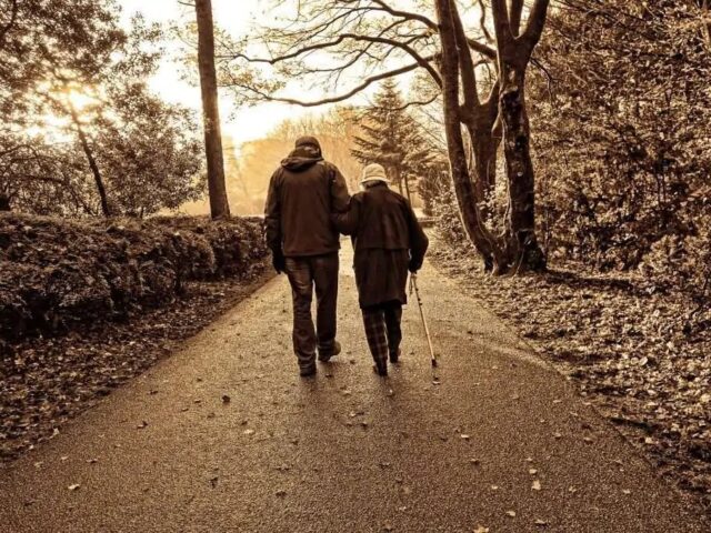 Domus24 - Apoio Domiciliário e Serviço de Acompanhamento